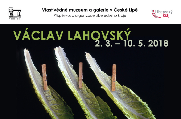 Václav Lahovský 2018_Plakát_WEB